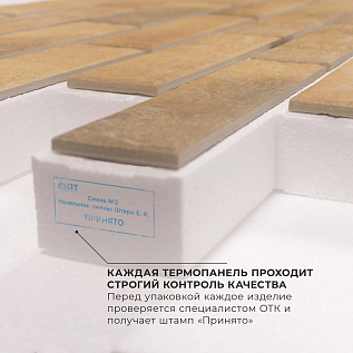 Купить Термопанели с клинкерной плиткой, Loft Brick Curry, толщина панели: 50 мм - изображение 3