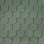 Forest Green Forest Green
