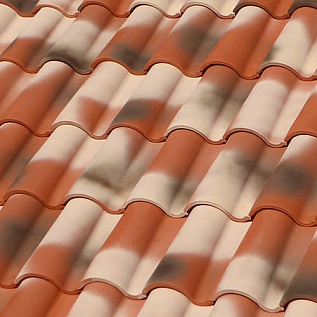 Купить Керамическая черепица Tejas Borja TBS+ NATURE Manoir - изображение 1