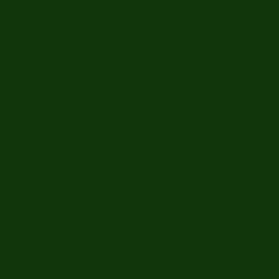 Элегантный зелёный (RR11)